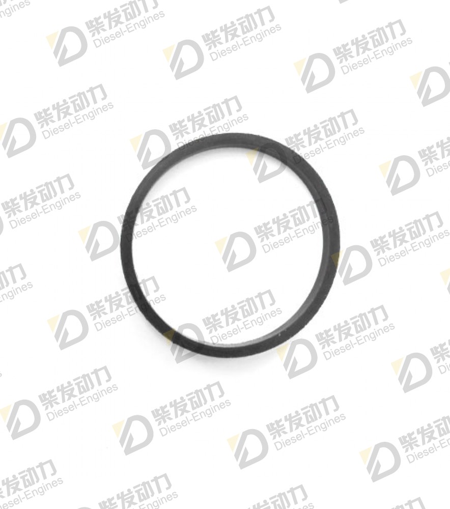 Gasket 20405943 